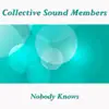 Collective Sound Members - Nobody Knows - Single